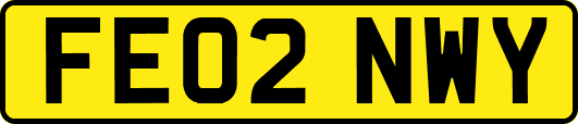 FE02NWY