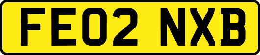 FE02NXB