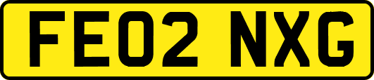 FE02NXG