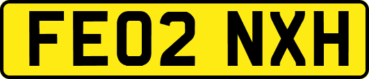 FE02NXH