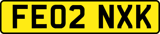 FE02NXK