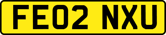 FE02NXU