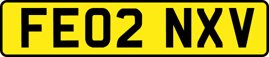 FE02NXV