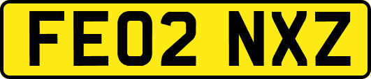 FE02NXZ