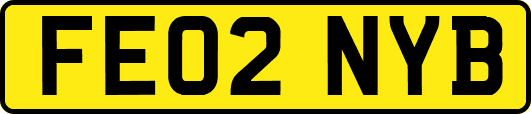 FE02NYB