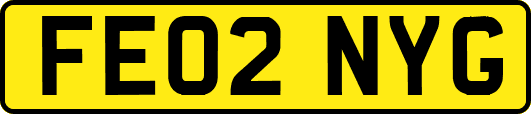 FE02NYG