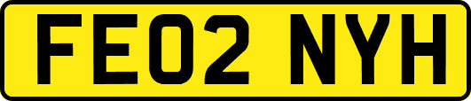 FE02NYH