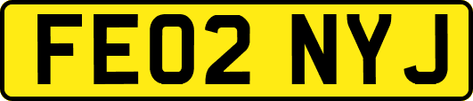 FE02NYJ