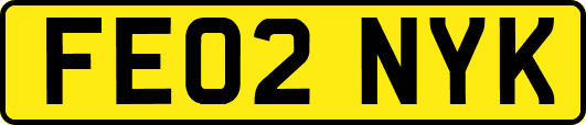 FE02NYK