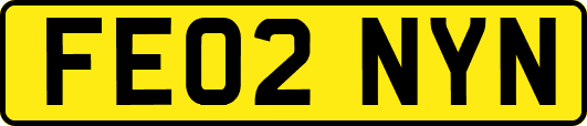 FE02NYN