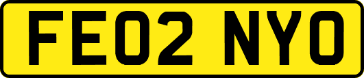 FE02NYO
