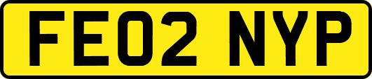 FE02NYP