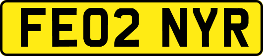 FE02NYR