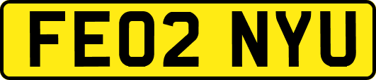 FE02NYU