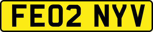 FE02NYV