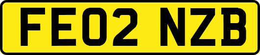 FE02NZB