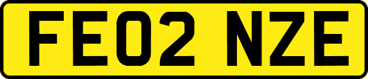 FE02NZE