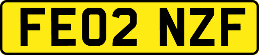 FE02NZF