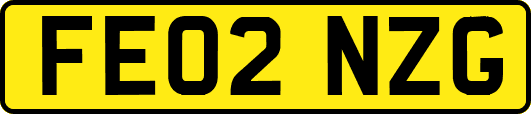 FE02NZG