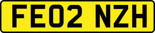 FE02NZH