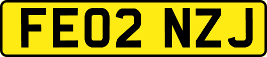 FE02NZJ