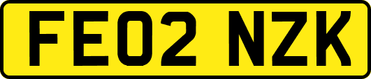 FE02NZK