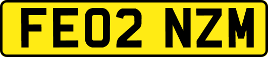 FE02NZM