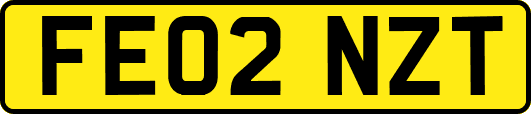 FE02NZT