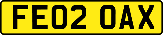 FE02OAX