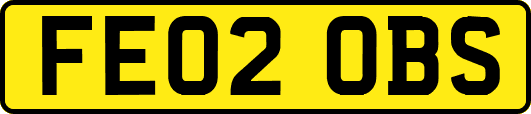 FE02OBS