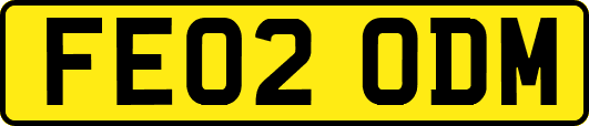 FE02ODM
