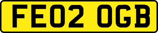 FE02OGB