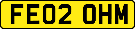 FE02OHM