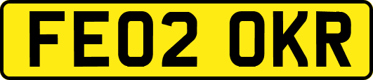 FE02OKR