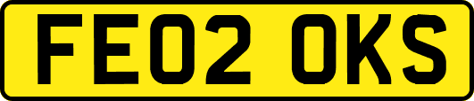 FE02OKS