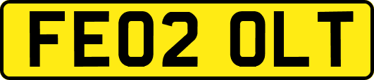 FE02OLT