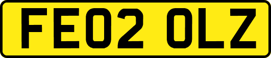 FE02OLZ