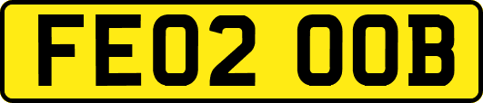 FE02OOB