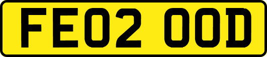 FE02OOD