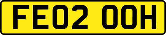 FE02OOH