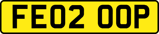 FE02OOP