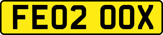 FE02OOX