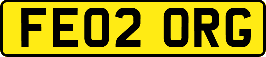 FE02ORG