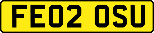 FE02OSU
