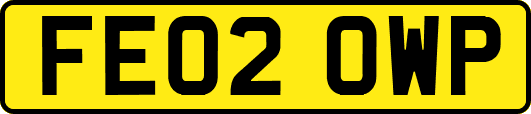 FE02OWP