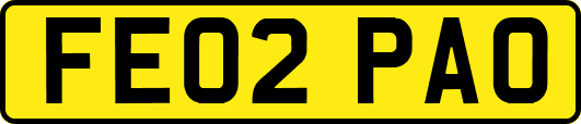 FE02PAO