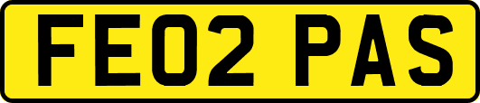 FE02PAS