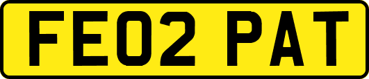 FE02PAT