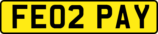 FE02PAY