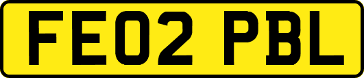 FE02PBL